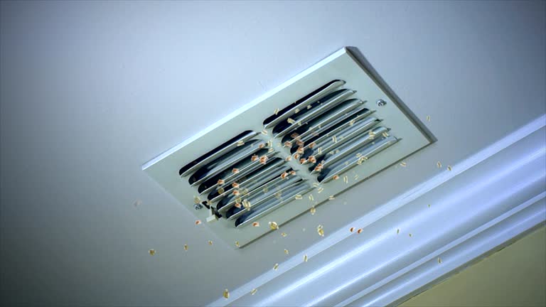 Best Affordable HVAC Duct Cleaning  in , WA