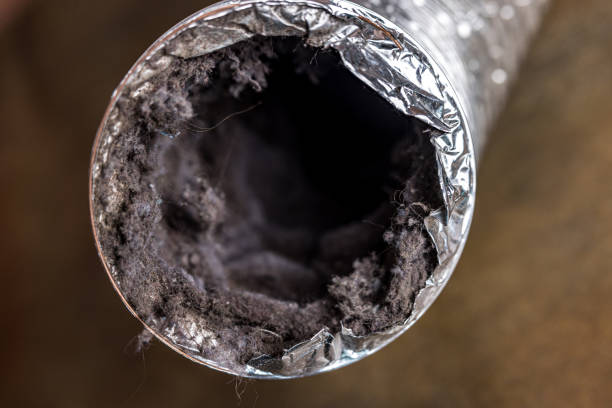 Best Home Air Vent Cleaning  in , WA